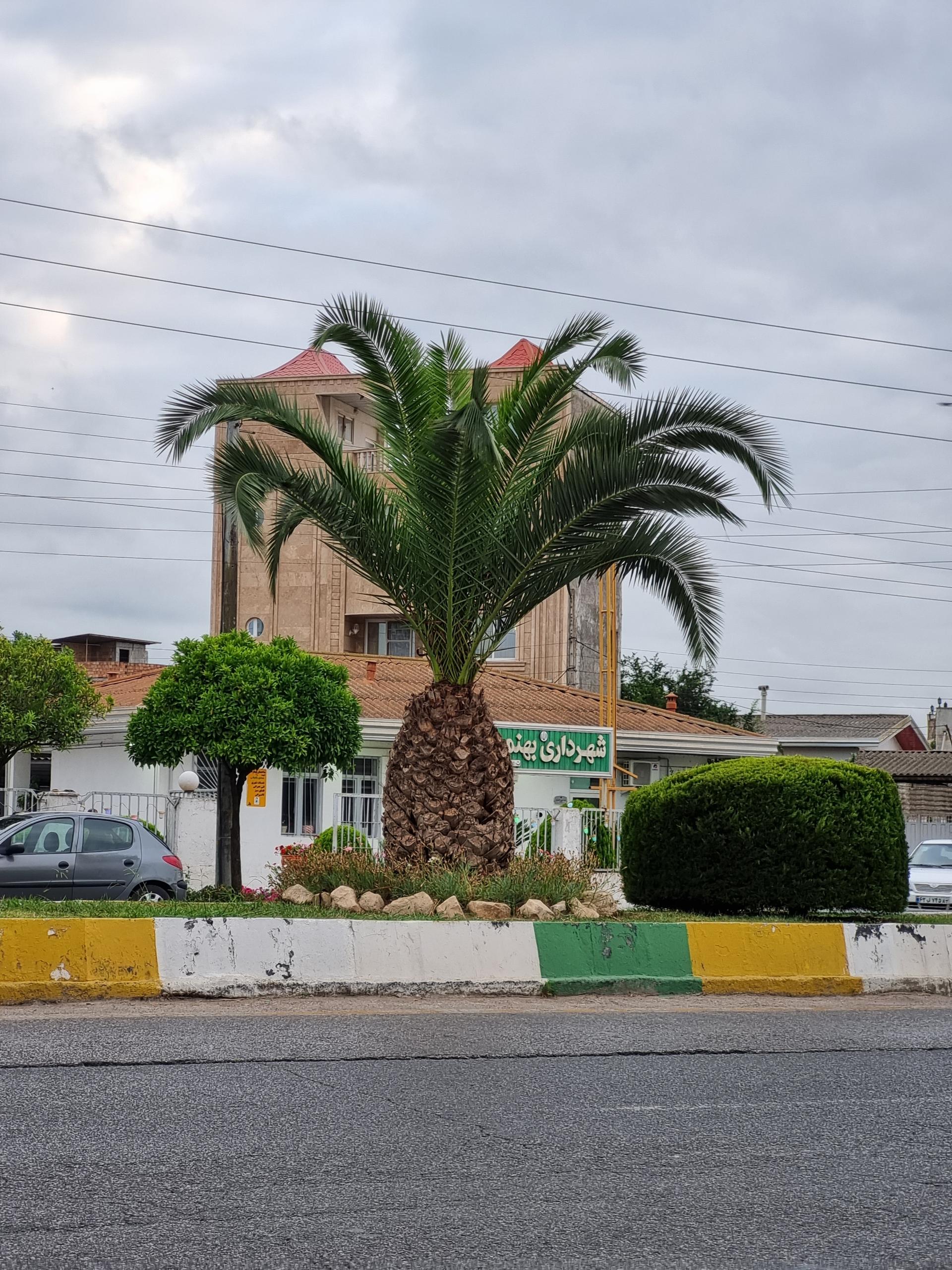 عکس شهرداری بهنمیر