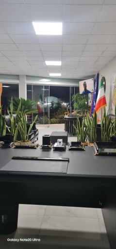 عکس املاک تاج و تخت