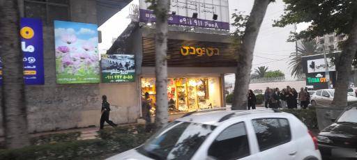 عکس کیف و کفش دی تو دی