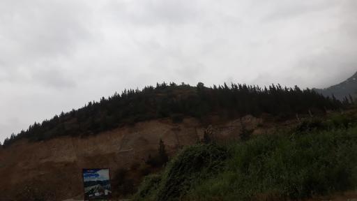 عکس صلحدارکلا