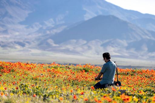 عکس خوی