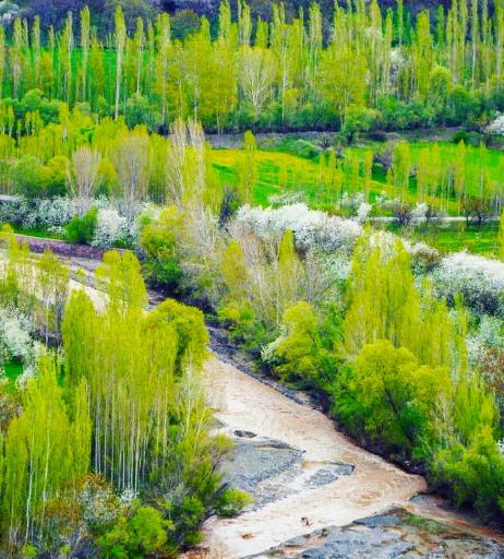 عکس خوی