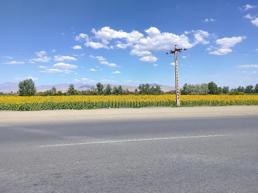 عکس خوی