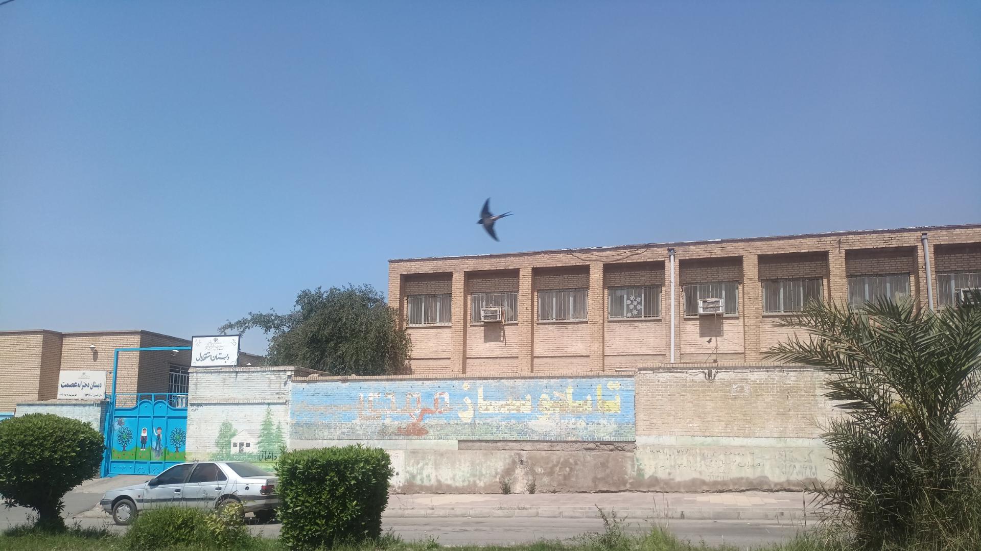 عکس دبستان استقلال