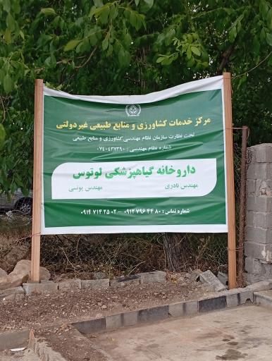 عکس داروخانه گیاهپزشکی لوتوس