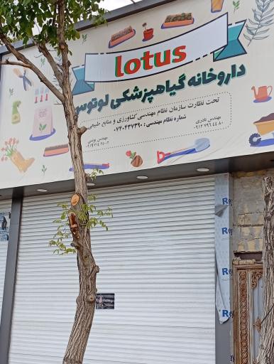 عکس داروخانه گیاهپزشکی لوتوس