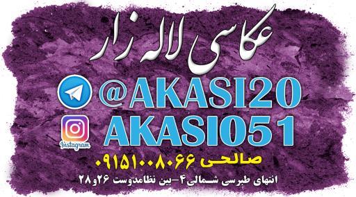 عکس عکاسی لاله زار 