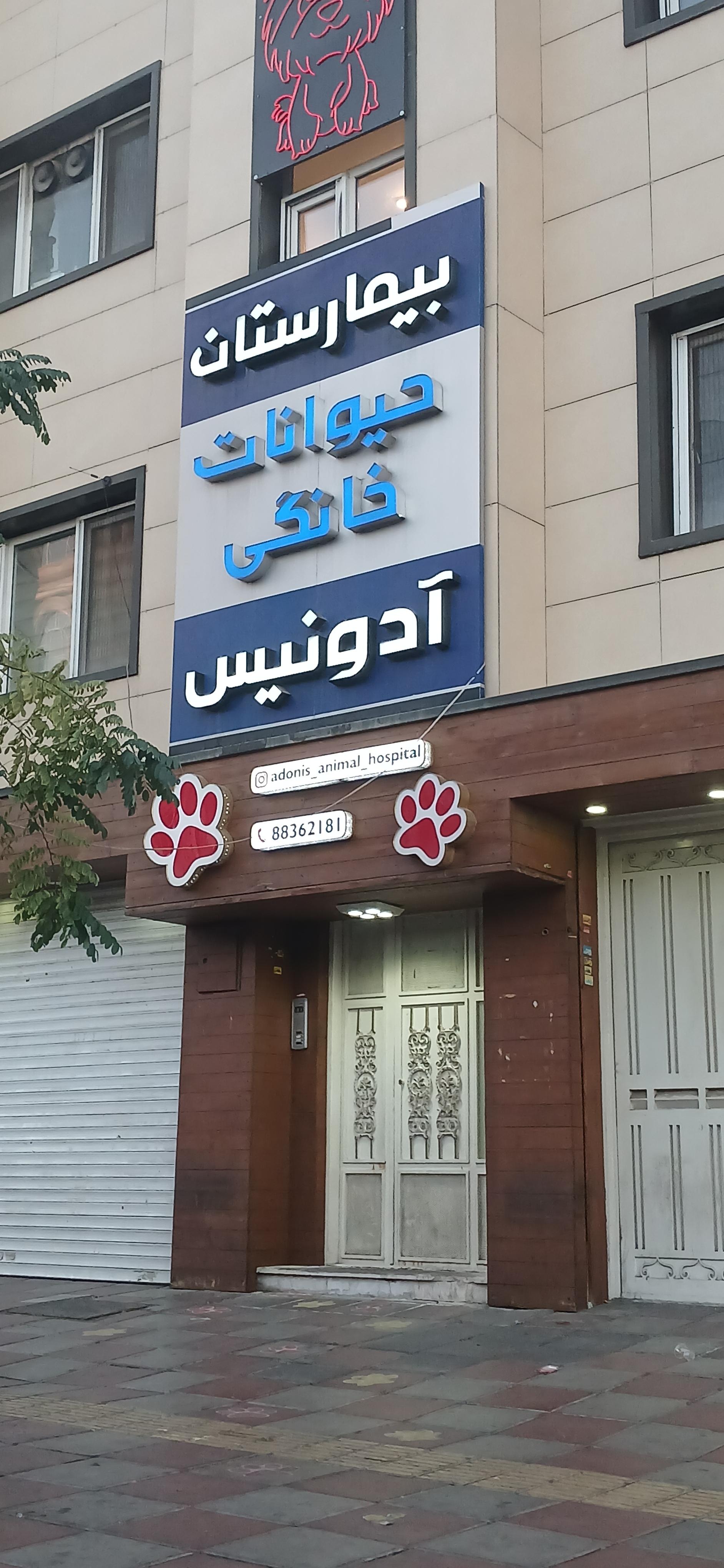 عکس بیمارستان دامپزشکی آدونیس