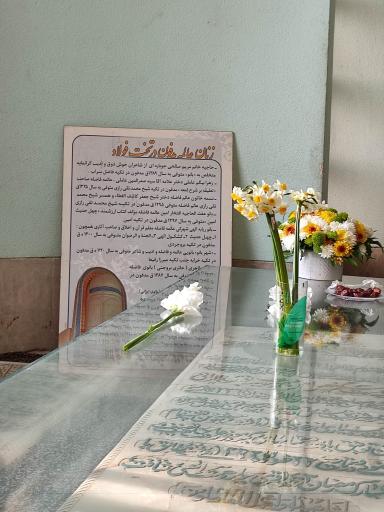 عکس مقبره بانو امین