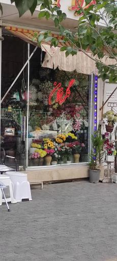 عکس گلفروشی گلریزان