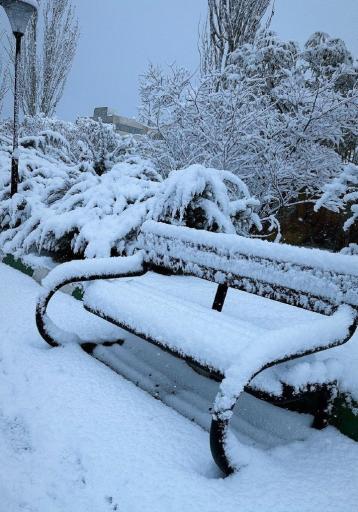 پارک محله ای نیلوفر