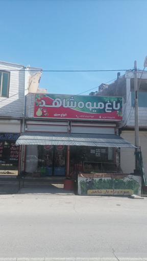 عکس باغ میوه شاهد