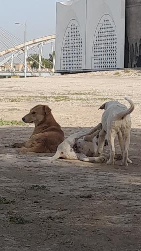 عکس موزه ملی خوزستان