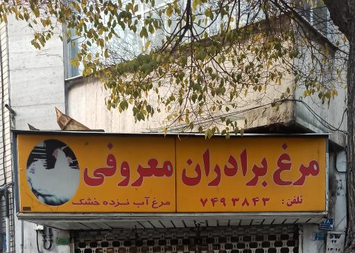 عکس مرغ فروشی معروفی