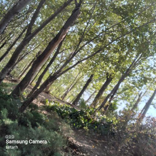 عکس محل رهایی مسافر و همسفر کنگره ۶۰