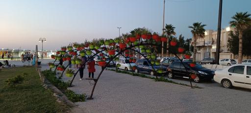 عکس ساحل تشریفات