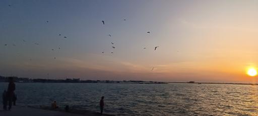 عکس ساحل تشریفات (ساحل شیخ خزوک آبشی)