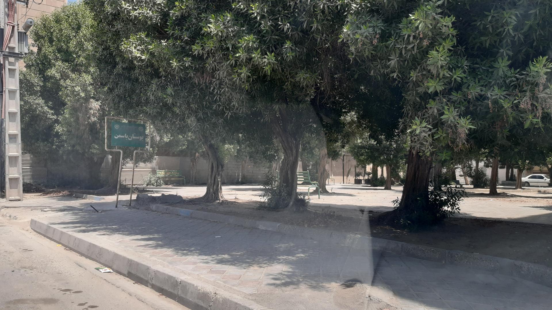 عکس بوستان یاسمن