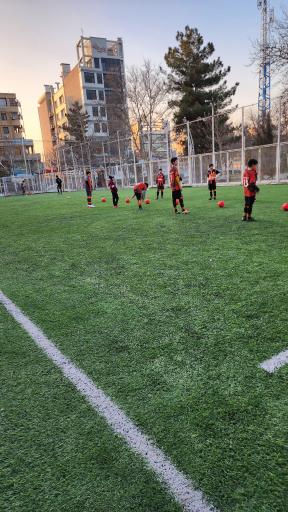 عکس زمین چمن رسالت