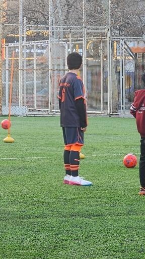 عکس زمین چمن رسالت