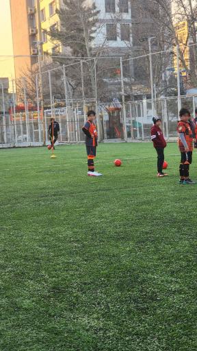 عکس زمین چمن رسالت