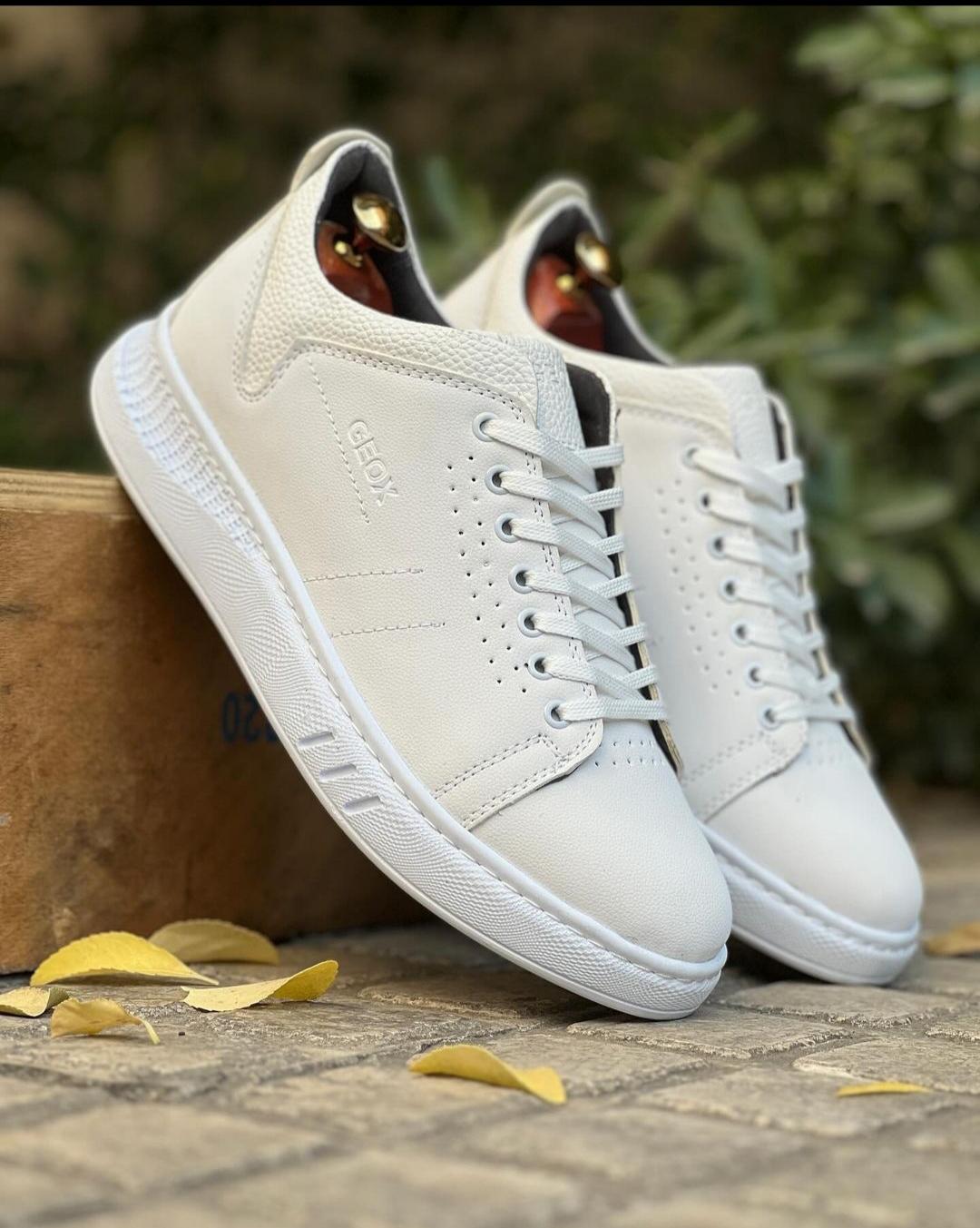 عکس تولیدی کفش پاتن 