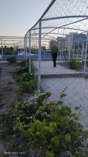 عکس پارک خلیج فارس