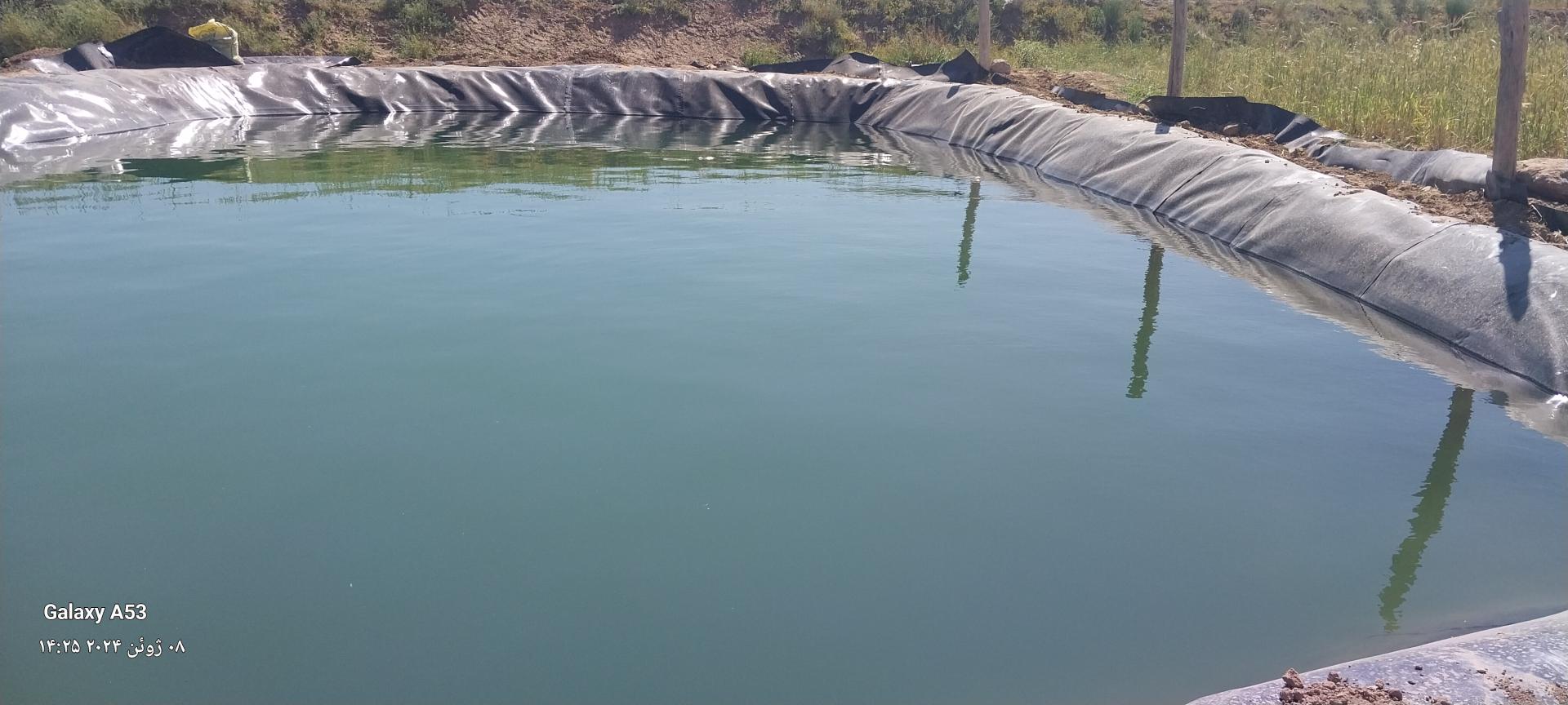 عکس گلخانه برادران قائنی نژاد