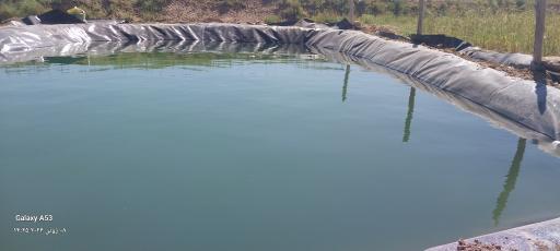 عکس گلخانه برادران قائنی نژاد