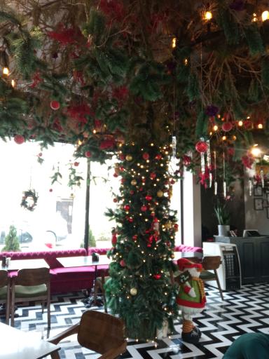 عکس رستوران و کافی شاپ ایتالیایی نیپر