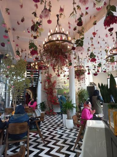 عکس رستوران و کافی شاپ ایتالیایی نیپر