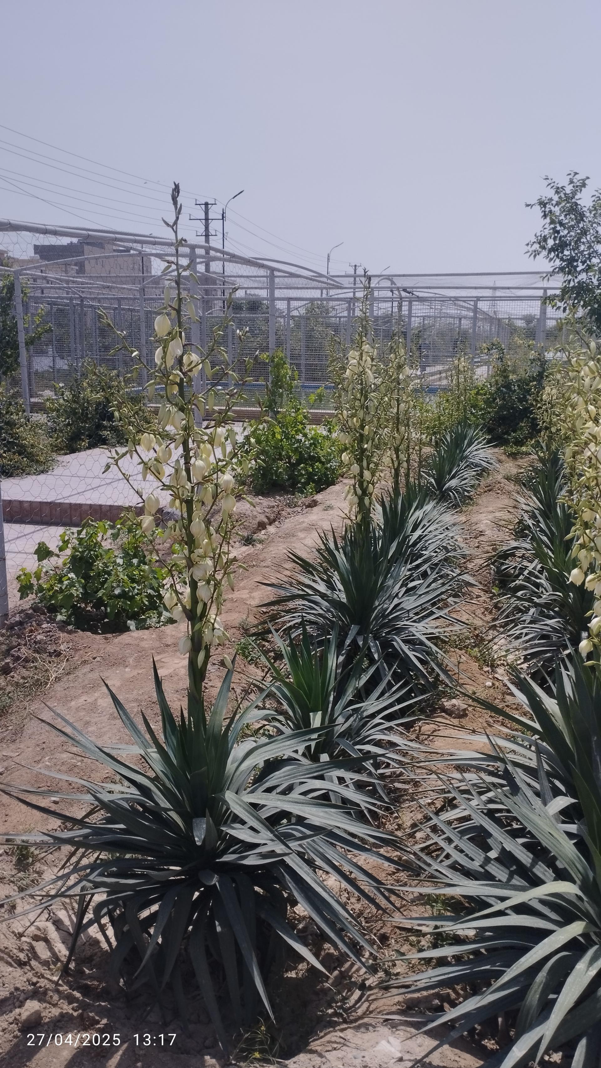 عکس پارک خلیج فارس