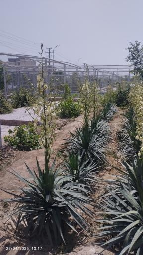 عکس پارک خلیج فارس