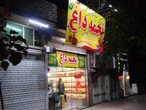 عکس تخمه داغ سعید شعبه 2