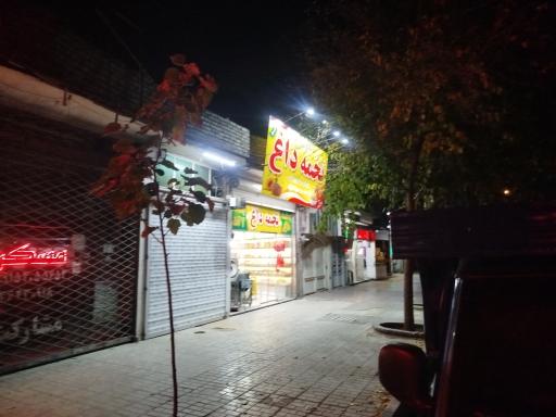 عکس تخمه داغ سعید شعبه 2