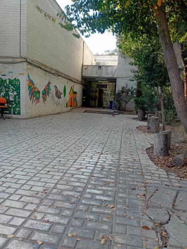 عکس سرای نور