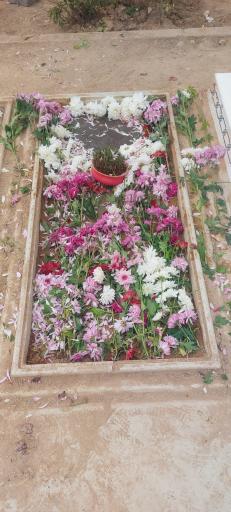 عکس مقبره جعفر سلمانی
