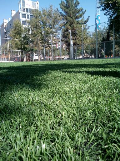 عکس زمین چمن رسالت