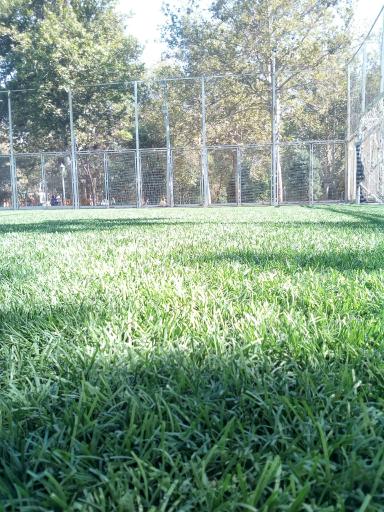 عکس زمین چمن رسالت