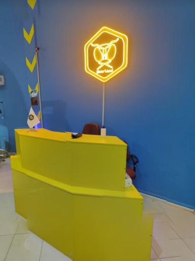 عکس زنبورهای دیجیتال(بیزلند)