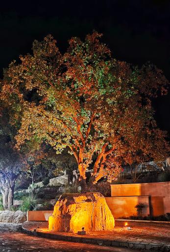 عکس مجتمع گردشگری بویرلند