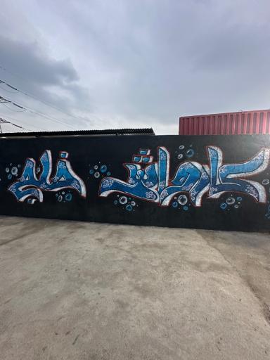عکس اتو کارواش خلج
