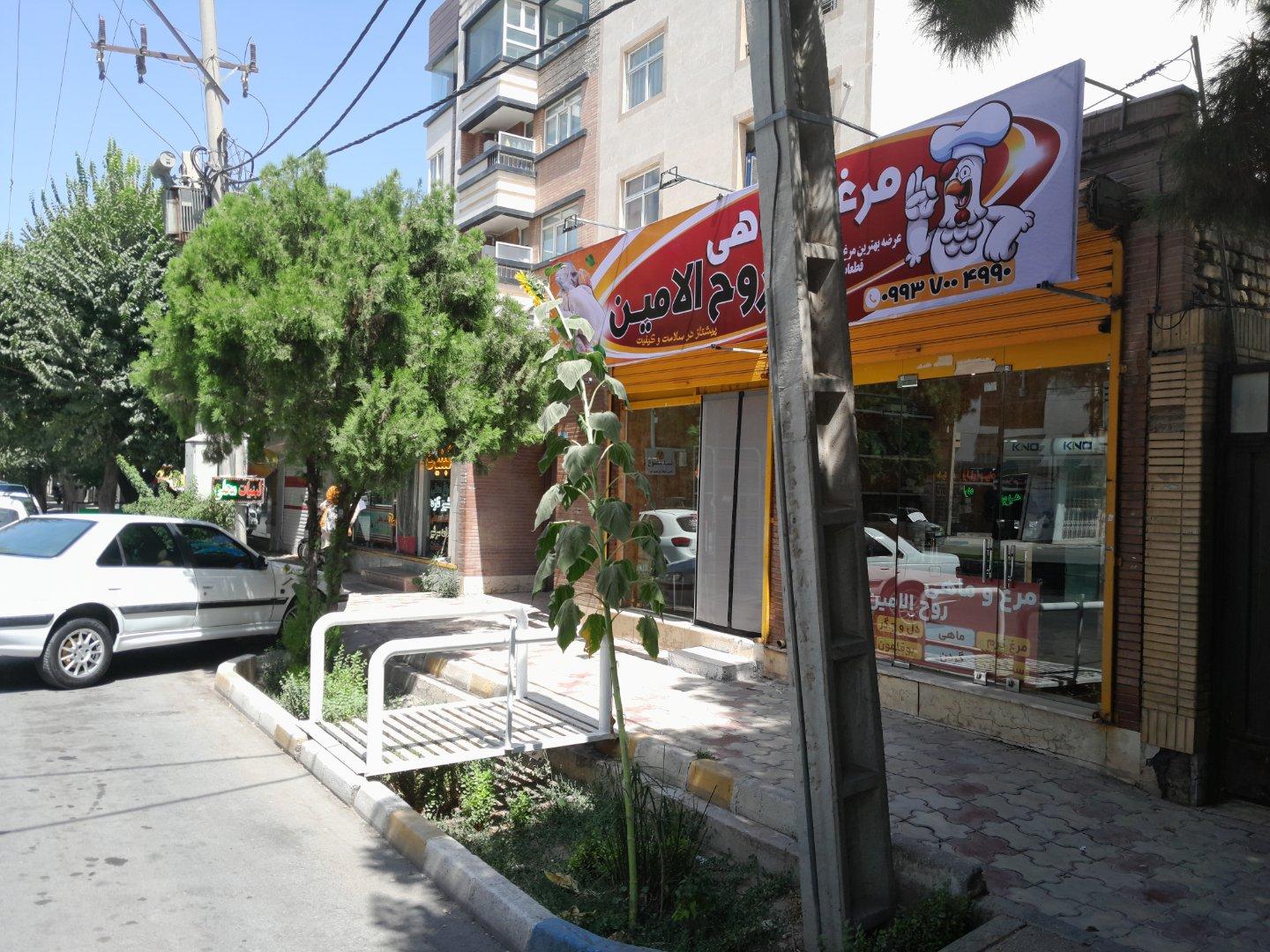 عکس مرغ و ماهی روح الامین