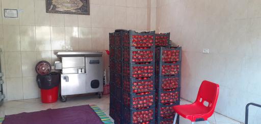 عکس آبلیمو و آبغوره گیری عابدینی