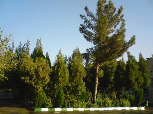 عکس دبیرستان پسرانه شاهد کاشان