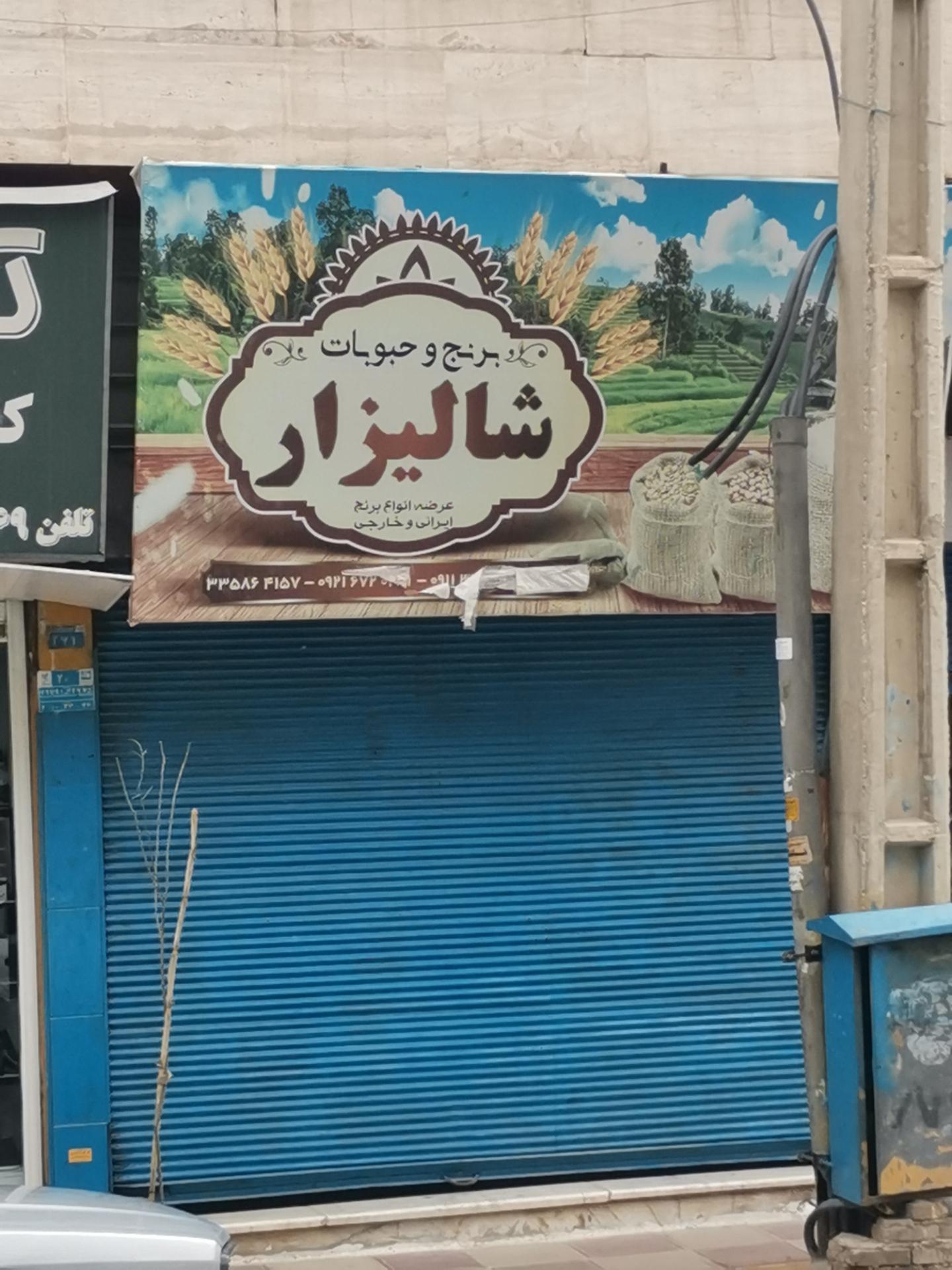 عکس برنج فروشی شالیزار 