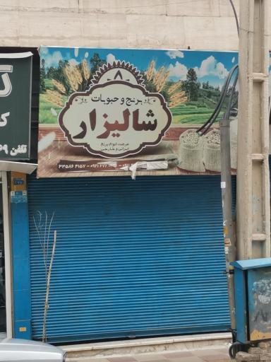 عکس برنج فروشی شالیزار 