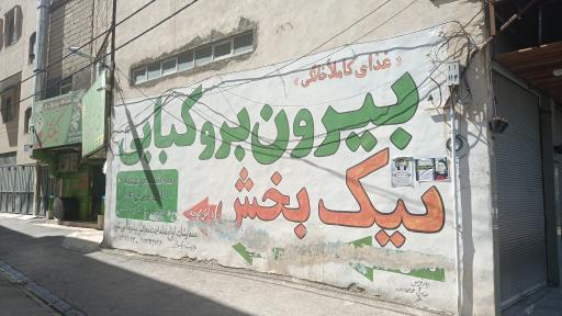 عکس غذای بیرون بر نیک بخش