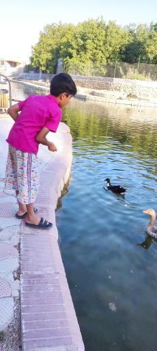 عکس تفرجگاه رسول الله