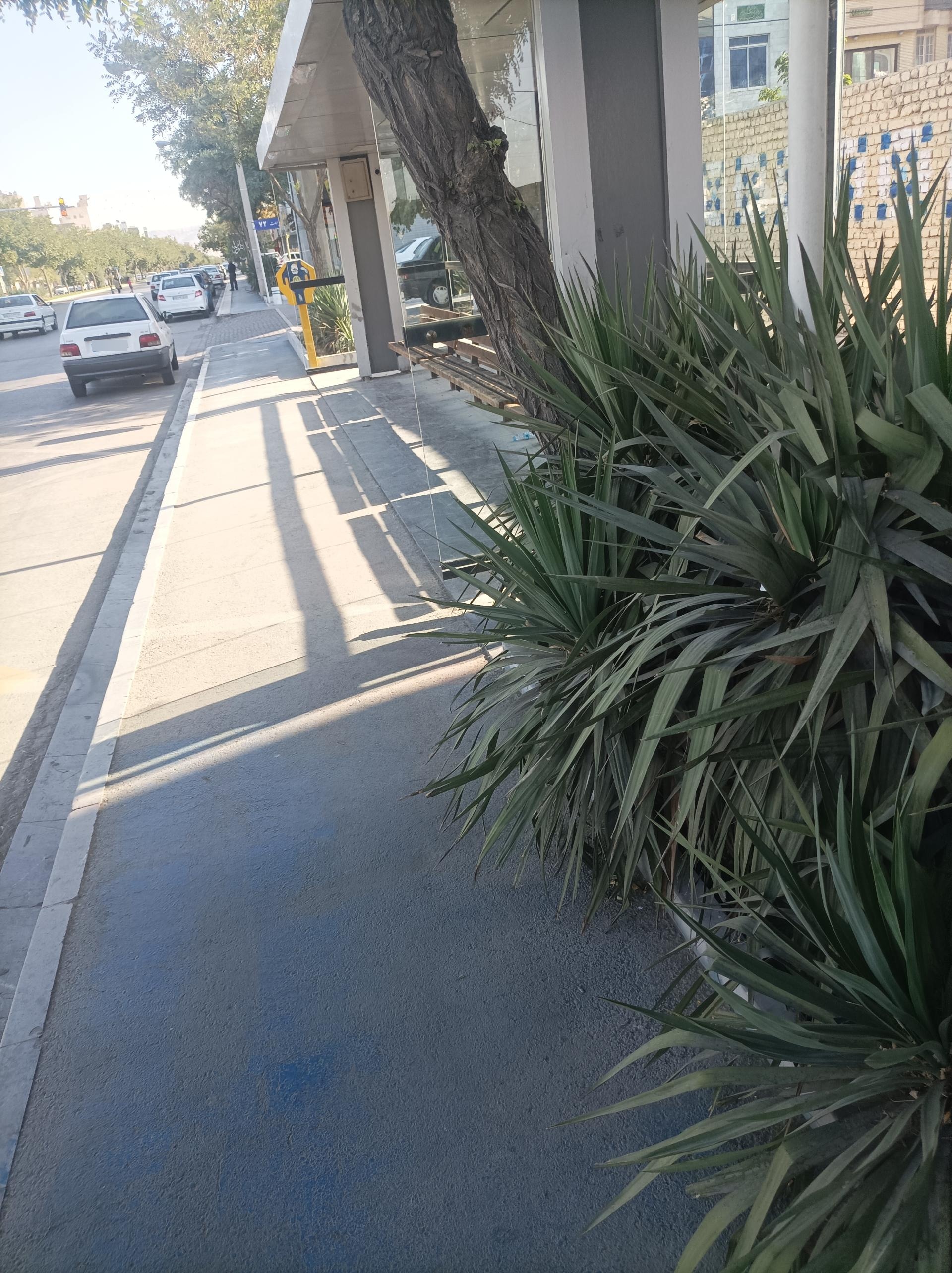 عکس  امامت 72